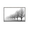 Picture of Lined Up Trees _GroupedProduct_Rectangle_Landscape_Photography _GroupedProduct_Rectangle_Landscape_Canvas_Framed_