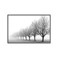 Picture of Lined Up Trees _GroupedProduct_Rectangle_Landscape_Photography _GroupedProduct_Rectangle_Landscape_Canvas_Framed_