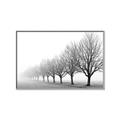 Picture of Lined Up Trees _GroupedProduct_Rectangle_Landscape_Photography _GroupedProduct_Rectangle_Landscape_Canvas_Framed_