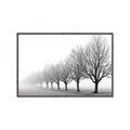 Picture of Lined Up Trees _GroupedProduct_Rectangle_Landscape_Photography _GroupedProduct_Rectangle_Landscape_Canvas_Framed_