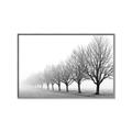 Picture of Lined Up Trees _GroupedProduct_Rectangle_Landscape_Photography _GroupedProduct_Rectangle_Landscape_Canvas_Framed_