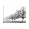 Picture of Lined Up Trees _GroupedProduct_Rectangle_Landscape_Photography _GroupedProduct_Rectangle_Landscape_Canvas_Framed_