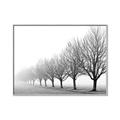 Picture of Lined Up Trees _GroupedProduct_Rectangle_Landscape_Photography _GroupedProduct_Rectangle_Landscape_Canvas_Framed_