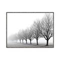 Picture of Lined Up Trees _GroupedProduct_Rectangle_Landscape_Photography _GroupedProduct_Rectangle_Landscape_Canvas_Framed_