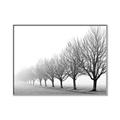 Picture of Lined Up Trees _GroupedProduct_Rectangle_Landscape_Photography _GroupedProduct_Rectangle_Landscape_Canvas_Framed_