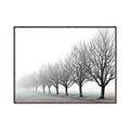 Picture of Lined Up Trees _GroupedProduct_Rectangle_Landscape_Photography _GroupedProduct_Rectangle_Landscape_Canvas_Framed_