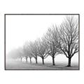 Picture of Lined Up Trees _GroupedProduct_Rectangle_Landscape_Photography _GroupedProduct_Rectangle_Landscape_Canvas_Framed_