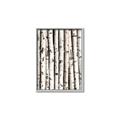 Picture of Birch Logs _GroupedProduct_Rectangle_Portrait_Photography _GroupedProduct_Rectangle_Portrait_Canvas_Framed_
