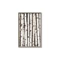 Picture of Birch Logs _GroupedProduct_Rectangle_Portrait_Photography _GroupedProduct_Rectangle_Portrait_Canvas_Framed_