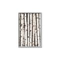 Picture of Birch Logs _GroupedProduct_Rectangle_Portrait_Photography _GroupedProduct_Rectangle_Portrait_Canvas_Framed_