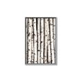Picture of Birch Logs _GroupedProduct_Rectangle_Portrait_Photography _GroupedProduct_Rectangle_Portrait_Canvas_Framed_
