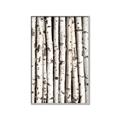 Picture of Birch Logs _GroupedProduct_Rectangle_Portrait_Photography _GroupedProduct_Rectangle_Portrait_Canvas_Framed_