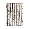 Picture of Birch Logs _GroupedProduct_Rectangle_Portrait_Photography _GroupedProduct_Rectangle_Portrait_Canvas_Framed_