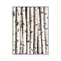 Picture of Birch Logs _GroupedProduct_Rectangle_Portrait_Photography _GroupedProduct_Rectangle_Portrait_Canvas_Framed_