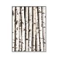 Picture of Birch Logs _GroupedProduct_Rectangle_Portrait_Photography _GroupedProduct_Rectangle_Portrait_Canvas_Framed_