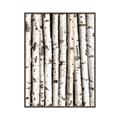 Picture of Birch Logs _GroupedProduct_Rectangle_Portrait_Photography _GroupedProduct_Rectangle_Portrait_Canvas_Framed_