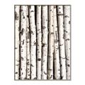 Picture of Birch Logs _GroupedProduct_Rectangle_Portrait_Photography _GroupedProduct_Rectangle_Portrait_Canvas_Framed_