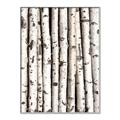 Picture of Birch Logs _GroupedProduct_Rectangle_Portrait_Photography _GroupedProduct_Rectangle_Portrait_Canvas_Framed_