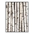 Picture of Birch Logs _GroupedProduct_Rectangle_Portrait_Photography _GroupedProduct_Rectangle_Portrait_Canvas_Framed_
