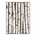 Picture of Birch Logs _GroupedProduct_Rectangle_Portrait_Photography _GroupedProduct_Rectangle_Portrait_Canvas_Framed_