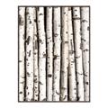 Picture of Birch Logs _GroupedProduct_Rectangle_Portrait_Photography _GroupedProduct_Rectangle_Portrait_Canvas_Framed_