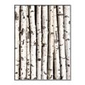 Picture of Birch Logs _GroupedProduct_Rectangle_Portrait_Photography _GroupedProduct_Rectangle_Portrait_Canvas_Framed_