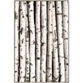 Picture of Birch Logs _GroupedProduct_Rectangle_Portrait_Photography _GroupedProduct_Rectangle_Portrait_Canvas_Framed_
