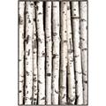 Picture of Birch Logs _GroupedProduct_Rectangle_Portrait_Photography _GroupedProduct_Rectangle_Portrait_Canvas_Framed_