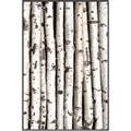 Picture of Birch Logs _GroupedProduct_Rectangle_Portrait_Photography _GroupedProduct_Rectangle_Portrait_Canvas_Framed_
