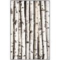 Picture of Birch Logs _GroupedProduct_Rectangle_Portrait_Photography _GroupedProduct_Rectangle_Portrait_Canvas_Framed_