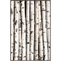 Picture of Birch Logs _GroupedProduct_Rectangle_Portrait_Photography _GroupedProduct_Rectangle_Portrait_Canvas_Framed_