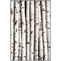 Picture of Birch Logs _GroupedProduct_Rectangle_Portrait_Photography _GroupedProduct_Rectangle_Portrait_Canvas_Framed_