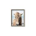 Picture of Sadie _GroupedProduct_Rectangle_Portrait_Photography _GroupedProduct_Rectangle_Portrait_Canvas_Framed_