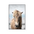 Picture of Sadie _GroupedProduct_Rectangle_Portrait_Photography _GroupedProduct_Rectangle_Portrait_Canvas_Framed_