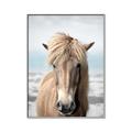 Picture of Sadie _GroupedProduct_Rectangle_Portrait_Photography _GroupedProduct_Rectangle_Portrait_Canvas_Framed_