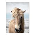 Picture of Sadie _GroupedProduct_Rectangle_Portrait_Photography _GroupedProduct_Rectangle_Portrait_Canvas_Framed_
