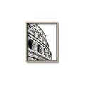 Picture of Colosseum  _GroupedProduct_Rectangle_Portrait_Photography _GroupedProduct_Rectangle_Portrait_Canvas_Framed_