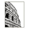 Picture of Colosseum  _GroupedProduct_Rectangle_Portrait_Photography _GroupedProduct_Rectangle_Portrait_Canvas_Framed_
