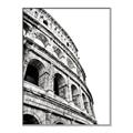 Picture of Colosseum  _GroupedProduct_Rectangle_Portrait_Photography _GroupedProduct_Rectangle_Portrait_Canvas_Framed_