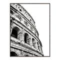 Picture of Colosseum  _GroupedProduct_Rectangle_Portrait_Photography _GroupedProduct_Rectangle_Portrait_Canvas_Framed_