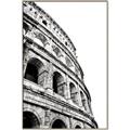 Picture of Colosseum  _GroupedProduct_Rectangle_Portrait_Photography _GroupedProduct_Rectangle_Portrait_Canvas_Framed_