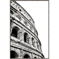 Picture of Colosseum  _GroupedProduct_Rectangle_Portrait_Photography _GroupedProduct_Rectangle_Portrait_Canvas_Framed_