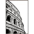 Picture of Colosseum  _GroupedProduct_Rectangle_Portrait_Photography _GroupedProduct_Rectangle_Portrait_Canvas_Framed_