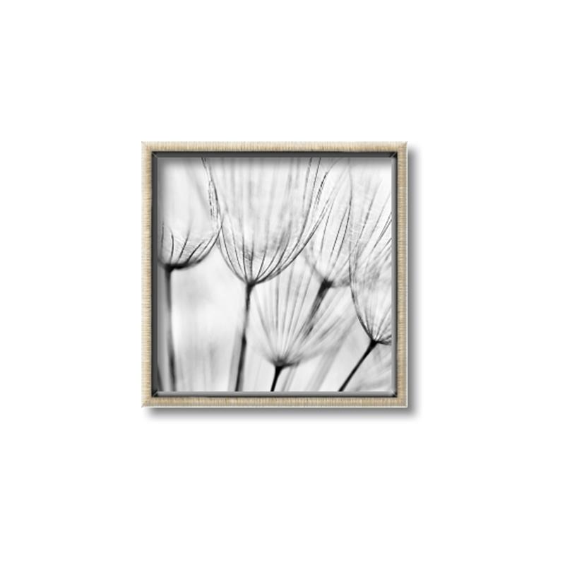Picture of B&W Flowers end _GroupedProduct_Square_Photography _GroupedProduct_Square_Canvas_Framed_