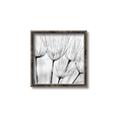 Picture of B&W Flowers end _GroupedProduct_Square_Photography _GroupedProduct_Square_Canvas_Framed_