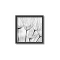 Picture of B&W Flowers end _GroupedProduct_Square_Photography _GroupedProduct_Square_Canvas_Framed_