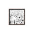 Picture of B&W Flowers end _GroupedProduct_Square_Photography _GroupedProduct_Square_Canvas_Framed_