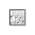 Picture of B&W Flowers end _GroupedProduct_Square_Photography _GroupedProduct_Square_Canvas_Framed_