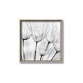 Picture of B&W Flowers end _GroupedProduct_Square_Photography _GroupedProduct_Square_Canvas_Framed_
