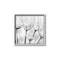 Picture of B&W Flowers end _GroupedProduct_Square_Photography _GroupedProduct_Square_Canvas_Framed_